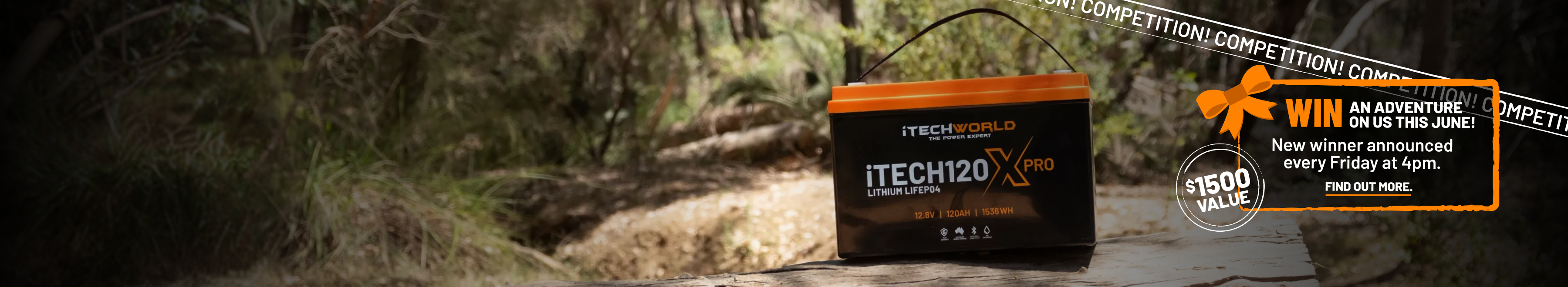 12 Volt Lithium Batteries
