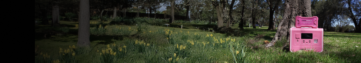 A pink portable generator sits on the grass among yellow flowers and trees in a sunny park or forest clearing.